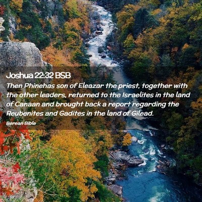 Picture 02 - Joshua 22:32 BSB - Then Phinehas son of Eleazar the priest, together - Bible Verse Picture