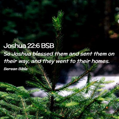Picture 02 - Joshua 22:6 BSB - So Joshua blessed them and sent them on their - Bible Verse Picture