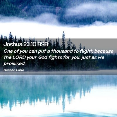 Picture 02 - Joshua 23:10 BSB - One of you can put a thousand to flight, because - Bible Verse Picture