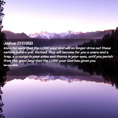 Picture 02 - Joshua 23:13 BSB - know for sure that the LORD your God will no - Bible Verse Picture