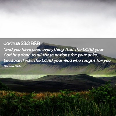 Picture 02 - Joshua 23:3 BSB - “and you have seen everything that the LORD - Bible Verse Picture