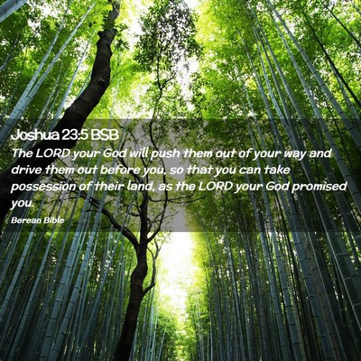 Picture 02 - Joshua 23:5 BSB - The LORD your God will push them out of your way - Bible Verse Picture