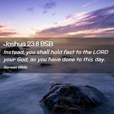 Picture 02 - Joshua 23:8 BSB - Instead, you shall hold fast to the LORD your - Bible Verse Picture