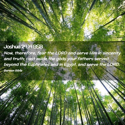 Picture 02 - Joshua 24:14 BSB - Now, therefore, fear the LORD and serve Him in - Bible Verse Picture