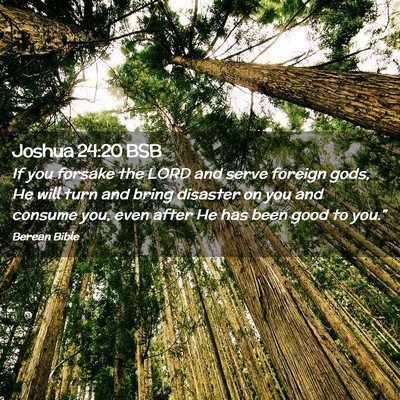 Picture 02 - Joshua 24:20 BSB - If you forsake the LORD and serve foreign gods, - Bible Verse Picture