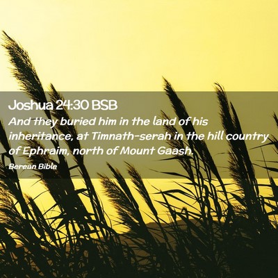 Picture 02 - Joshua 24:30 BSB - And they buried him in the land of his - Bible Verse Picture