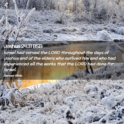 Picture 02 - Joshua 24:31 BSB - Israel had served the LORD throughout the days of - Bible Verse Picture
