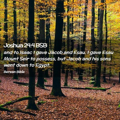 Picture 02 - Joshua 24:4 BSB - and to Isaac I gave Jacob and Esau. I gave Esau - Bible Verse Picture