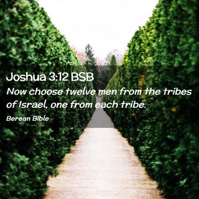 Picture 02 - Joshua 3:12 BSB - Now choose twelve men from the tribes of Israel, - Bible Verse Picture