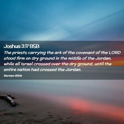 Picture 02 - Joshua 3:17 BSB - The priests carrying the ark of the covenant of - Bible Verse Picture