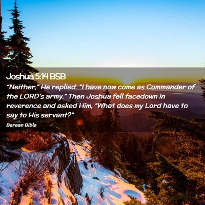 Picture 02 - Joshua 5:14 BSB - “Neither,” He replied. “I have now come as - Bible Verse Picture