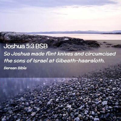 Picture 02 - Joshua 5:3 BSB - So Joshua made flint knives and circumcised the - Bible Verse Picture