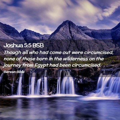 Picture 02 - Joshua 5:5 BSB - Though all who had come out were circumcised, - Bible Verse Picture