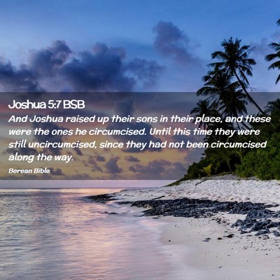 Picture 02 - Joshua 5:7 BSB - And Joshua raised up their sons in their place, - Bible Verse Picture