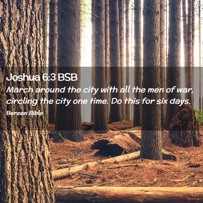 Picture 02 - Joshua 6:3 BSB - March around the city with all the men of war, - Bible Verse Picture