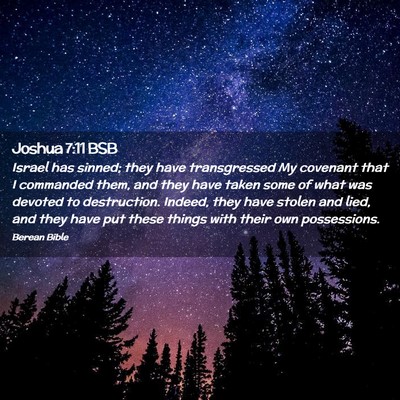 Picture 02 - Joshua 7:11 BSB - Israel has sinned; they have transgressed My - Bible Verse Picture