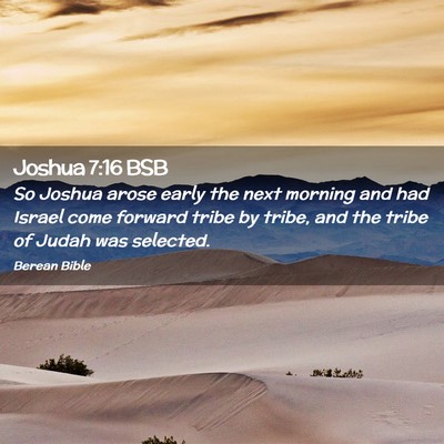 Picture 02 - Joshua 7:16 BSB - So Joshua arose early the next morning and had - Bible Verse Picture