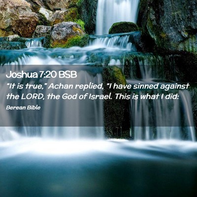 Picture 02 - Joshua 7:20 BSB - “It is true,” Achan replied, “I have sinned - Bible Verse Picture