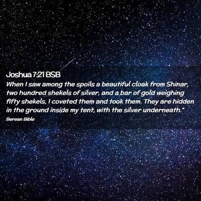 Picture 02 - Joshua 7:21 BSB - When I saw among the spoils a beautiful cloak - Bible Verse Picture