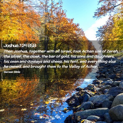 Picture 02 - Joshua 7:24 BSB - Then Joshua, together with all Israel, took Achan - Bible Verse Picture