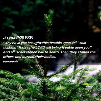 Picture 02 - Joshua 7:25 BSB - “Why have you brought this trouble upon us?” - Bible Verse Picture