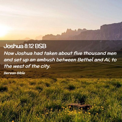 Picture 02 - Joshua 8:12 BSB - Now Joshua had taken about five thousand men and - Bible Verse Picture
