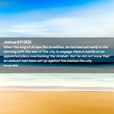 Picture 02 - Joshua 8:14 BSB - When the king of Ai saw the Israelites, he - Bible Verse Picture