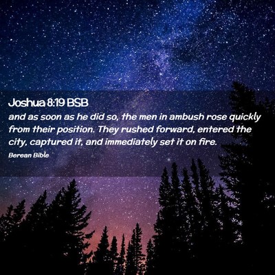 Picture 02 - Joshua 8:19 BSB - and as soon as he did so, the men in ambush rose - Bible Verse Picture