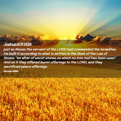 Picture 02 - Joshua 8:31 BSB - just as Moses the servant of the LORD had - Bible Verse Picture