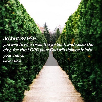 Picture 02 - Joshua 8:7 BSB - you are to rise from the ambush and seize the - Bible Verse Picture