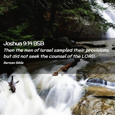 Picture 02 - Joshua 9:14 BSB - Then the men of Israel sampled their provisions, - Bible Verse Picture