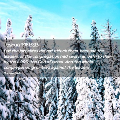 Picture 02 - Joshua 9:18 BSB - But the Israelites did not attack them, because - Bible Verse Picture