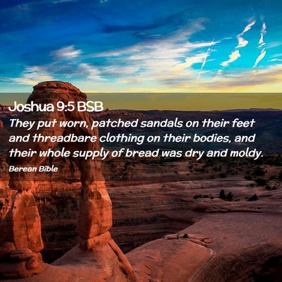 Picture 02 - Joshua 9:5 BSB - They put worn, patched sandals on their feet and - Bible Verse Picture
