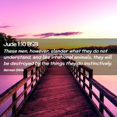 Picture 02 - Jude 1:10 BSB - These men, however, slander what they do not - Bible Verse Picture