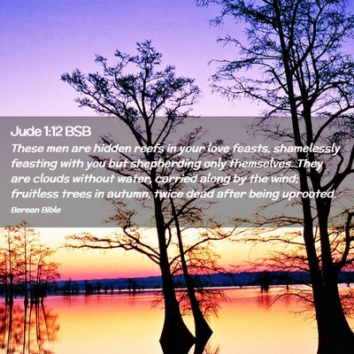 Picture 02 - Jude 1:12 BSB - These men are hidden reefs in your love feasts, - Bible Verse Picture