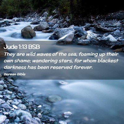 Picture 02 - Jude 1:13 BSB - They are wild waves of the sea, foaming up their - Bible Verse Picture