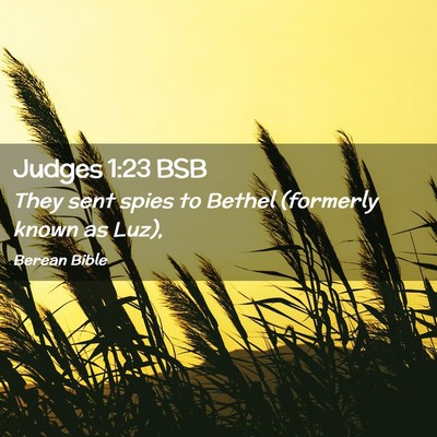 Picture 02 - Judges 1:23 BSB - They sent spies to Bethel (formerly known as - Bible Verse Picture