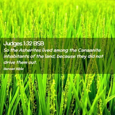 Picture 02 - Judges 1:32 BSB - So the Asherites lived among the Canaanite - Bible Verse Picture