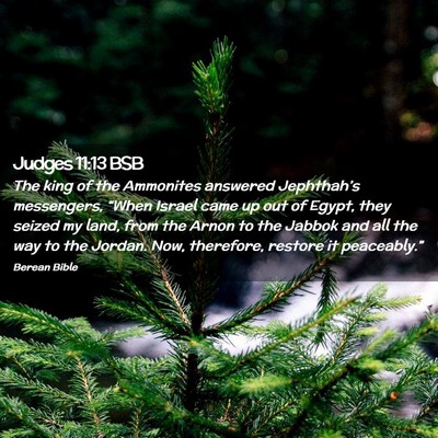 Picture 02 - Judges 11:13 BSB - The king of the Ammonites answered Jephthah’s - Bible Verse Picture
