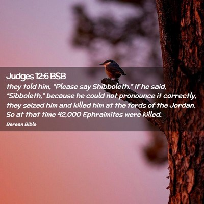 Picture 02 - Judges 12:6 BSB - they told him, “Please say Shibboleth.” If he - Bible Verse Picture