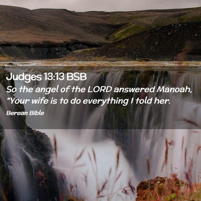 Picture 02 - Judges 13:13 BSB - So the angel of the LORD answered Manoah, “Your - Bible Verse Picture