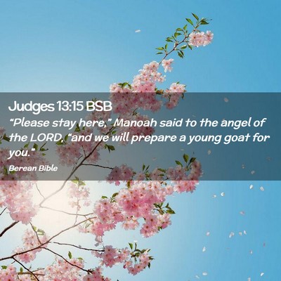 Picture 02 - Judges 13:15 BSB - “Please stay here,” Manoah said to the angel - Bible Verse Picture