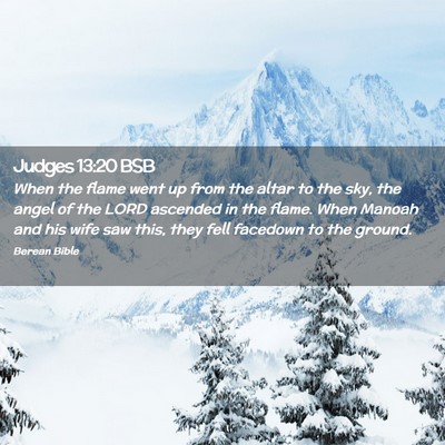 Picture 02 - Judges 13:20 BSB - When the flame went up from the altar to the sky, - Bible Verse Picture