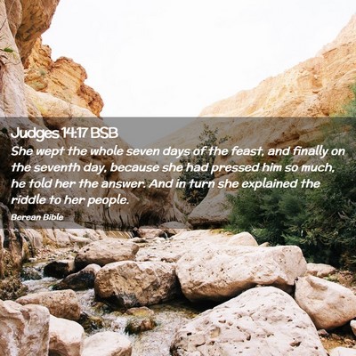 Picture 02 - Judges 14:17 BSB - She wept the whole seven days of the feast, and - Bible Verse Picture