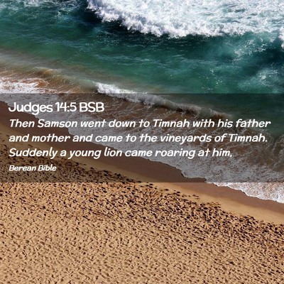 Picture 02 - Judges 14:5 BSB - Then Samson went down to Timnah with his father - Bible Verse Picture