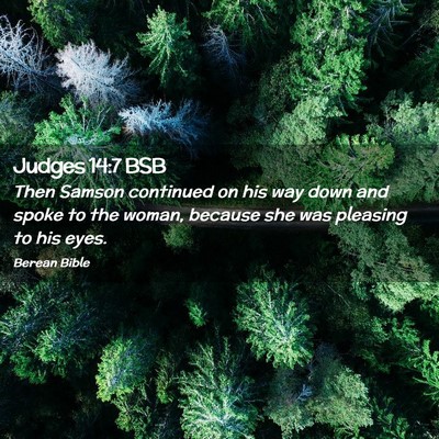 Picture 02 - Judges 14:7 BSB - Then Samson continued on his way down and spoke - Bible Verse Picture