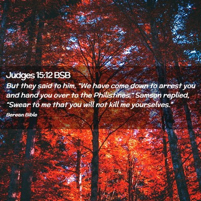 Picture 02 - Judges 15:12 BSB - But they said to him, “We have come down to - Bible Verse Picture
