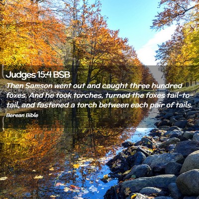Picture 02 - Judges 15:4 BSB - Then Samson went out and caught three hundred - Bible Verse Picture
