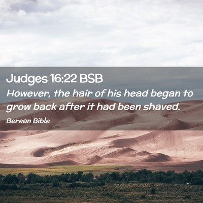 Picture 02 - Judges 16:22 BSB - However, the hair of his head began to grow back - Bible Verse Picture
