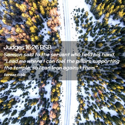 Picture 02 - Judges 16:26 BSB - Samson said to the servant who held his hand, - Bible Verse Picture